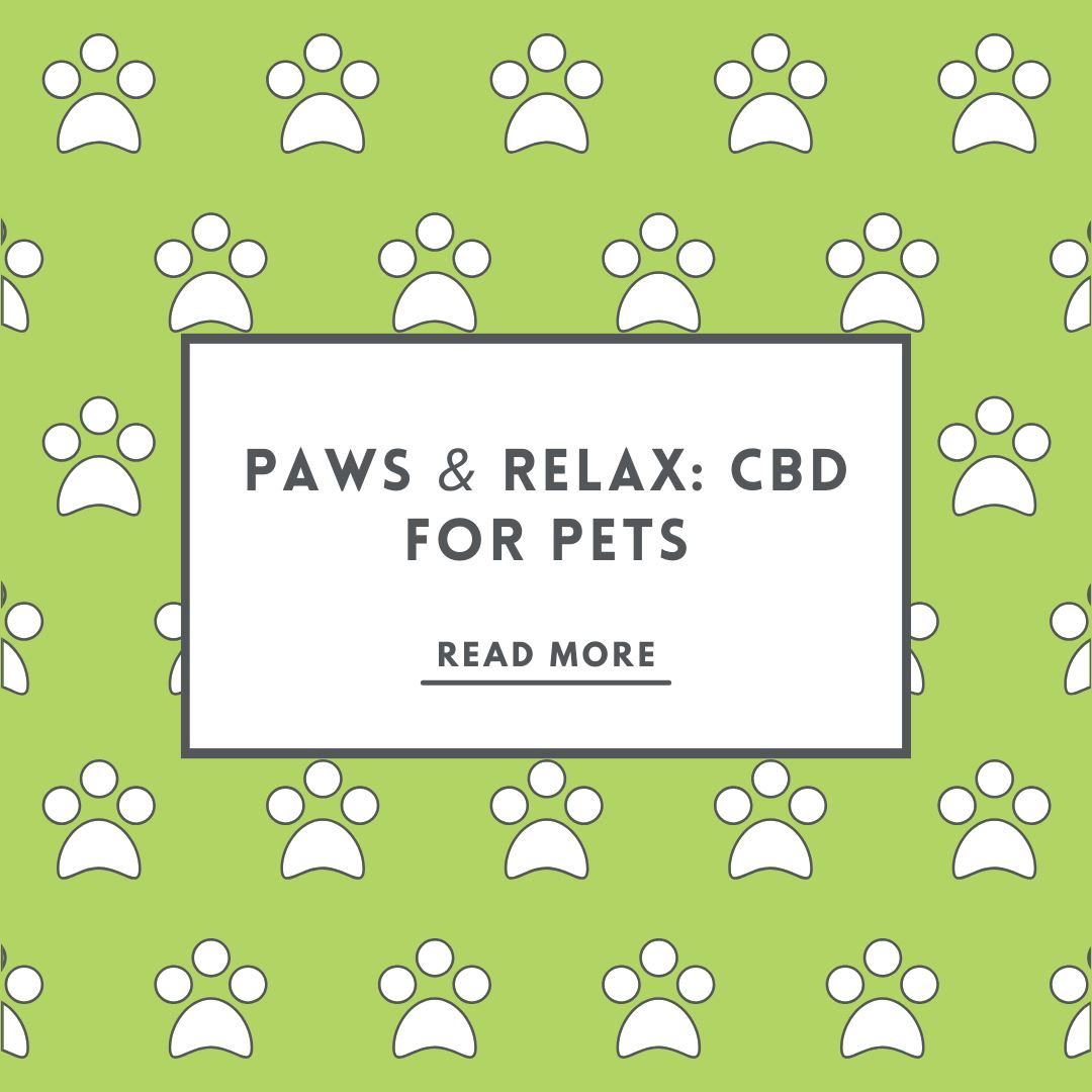 Paws & Relax: CBD For Pets