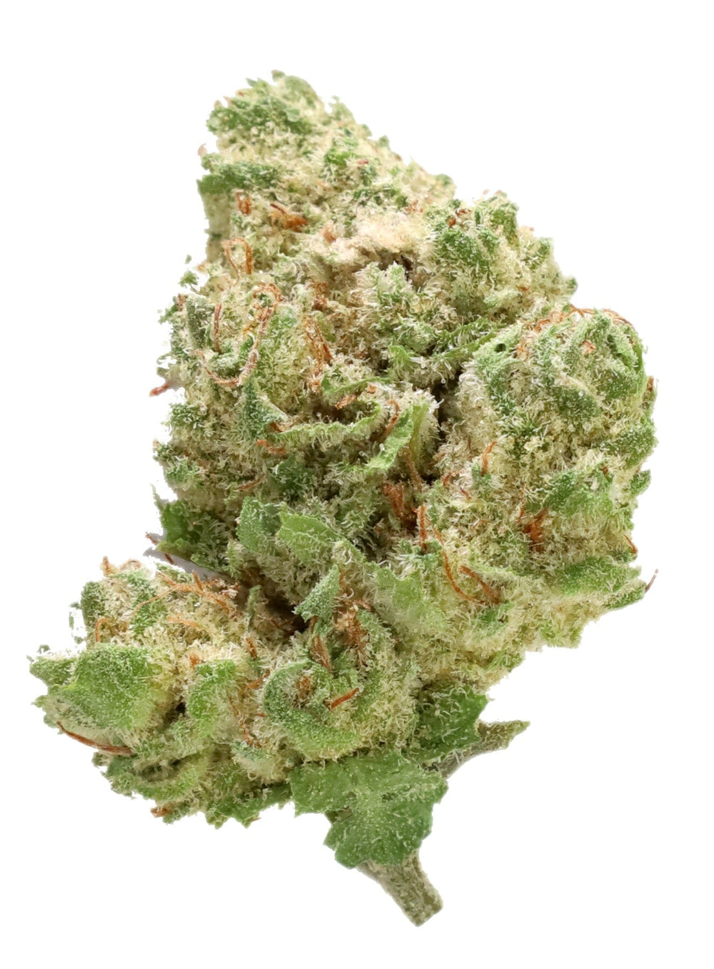 Banana Dessert Legacy Farms Grade A THCa Flower Flower The Hemp Farmacy 