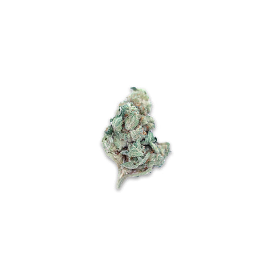 Papaya Bomb Legacy Farms Grade A THCa Flower Flower The Hemp Farmacy Buy THCA flower online
Premium THCA flower
THCA flower for sale
Shop THCA products
Legal THCA flower
